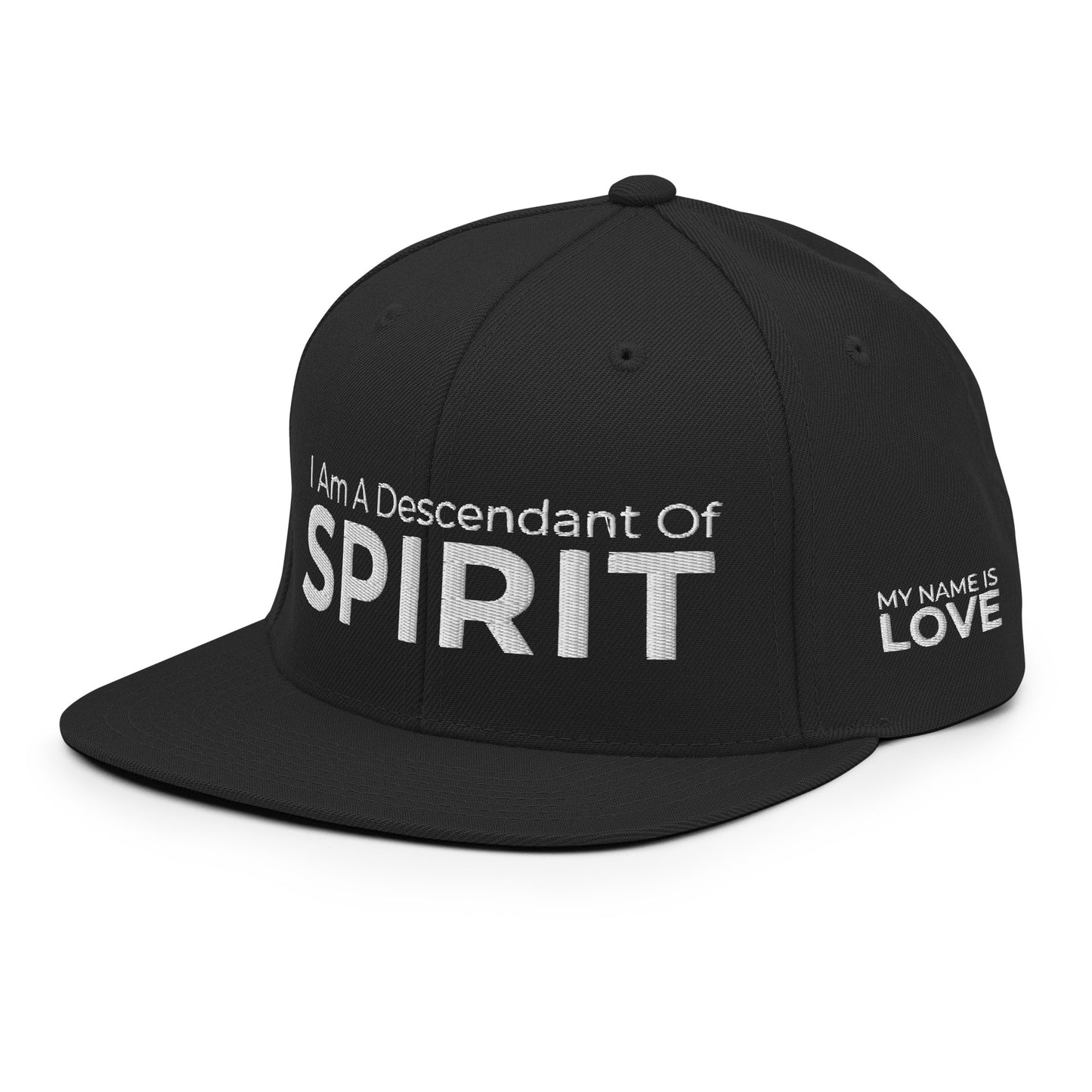I Am A Descendant Of Spirit: Snapback Hat