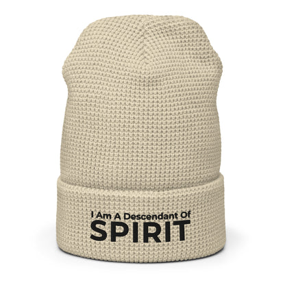 Descendant Of Spirit: Waffle beanie