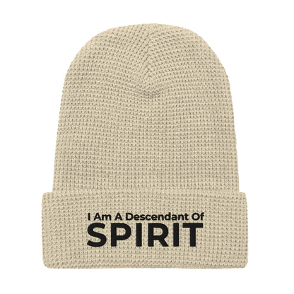 Descendant Of Spirit: Waffle beanie