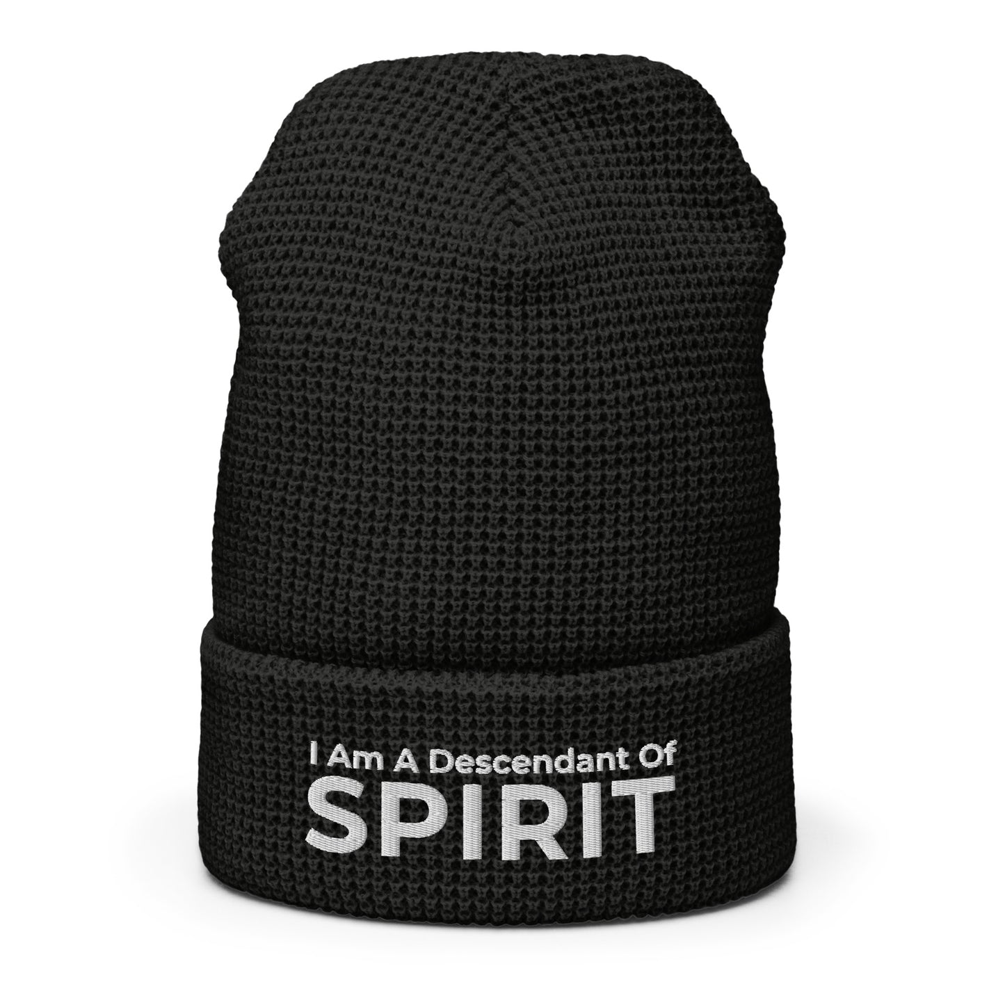 Descendant Of Spirit: Waffle beanie