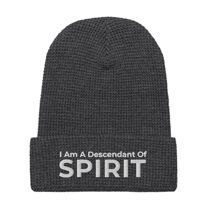 Descendant Of Spirit: Waffle beanie