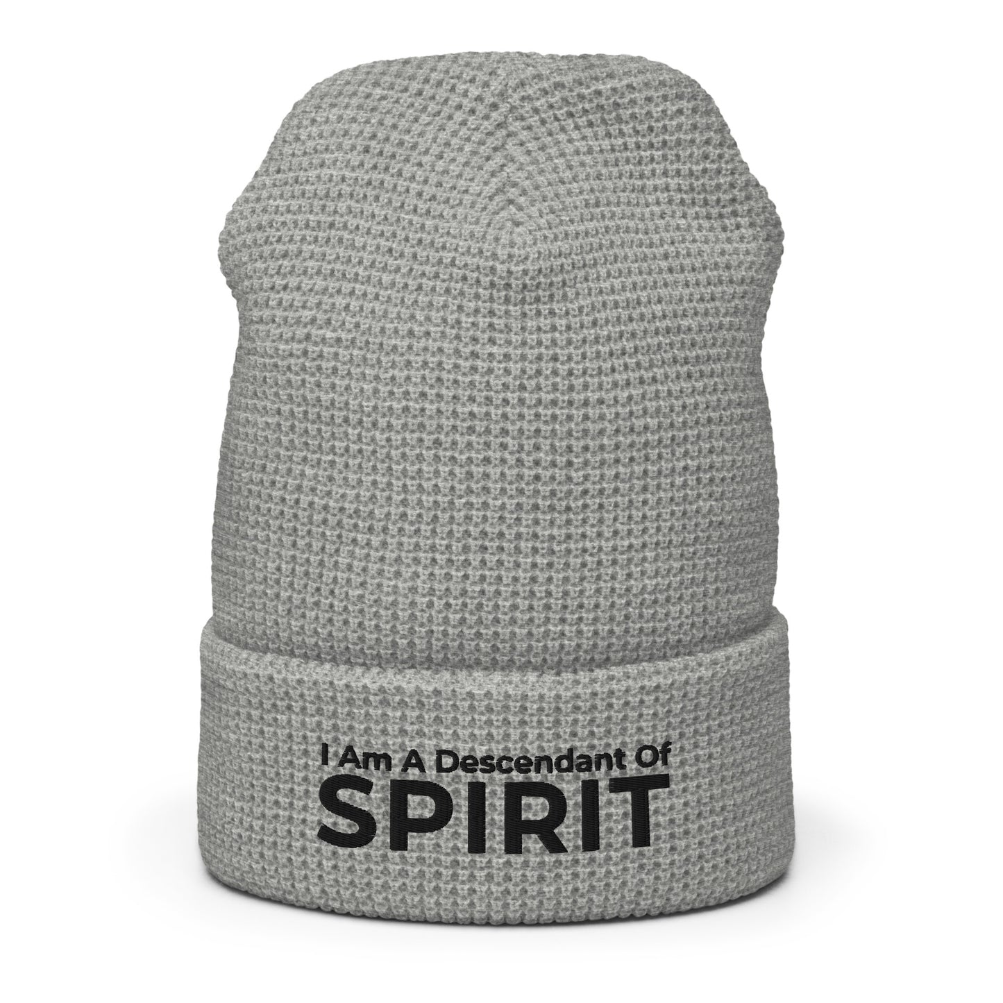 Descendant Of Spirit: Waffle beanie