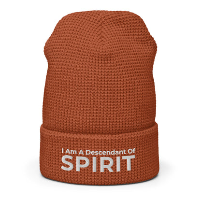 Descendant Of Spirit: Waffle beanie